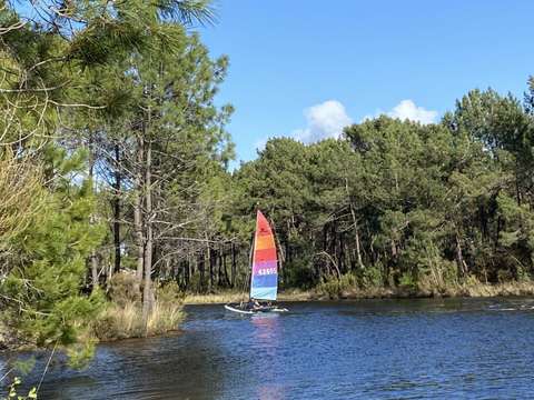 Vente maison 6 pièces Lacanau 33