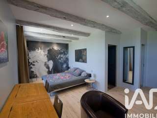 Vente maison 19 pièces