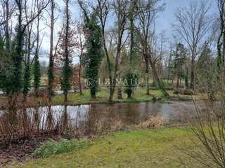 Vente maison 14 pièces