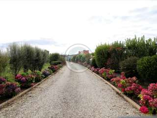 Vente maison 11 pièces