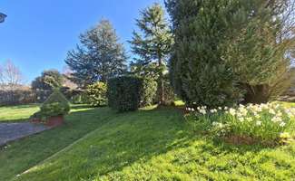 Photo Vente maison Languenan