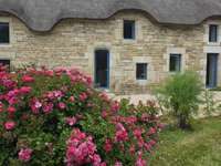Vente maison 14 pièces