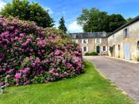 Vente maison 13 pièces