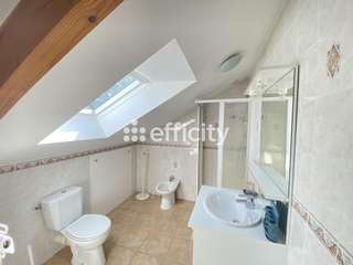 Vente maison 13 pièces