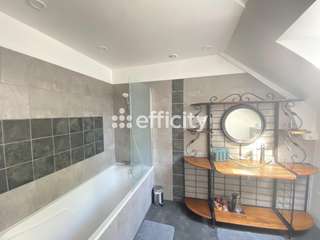 Vente maison 13 pièces