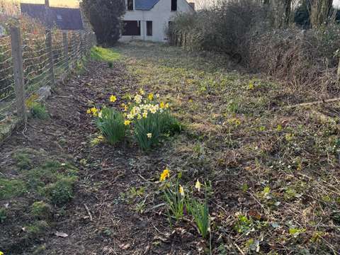 Vente maison 6 pièces Lanvallay 22
