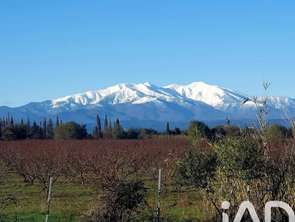 Vente Maison 5 piècesLaroque-des-Albères