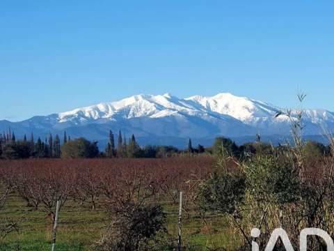 Vente maison 5 pièces Laroque-des-Albères 66