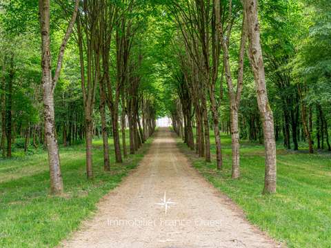 Vente maison 13 pièces