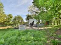Vente maison 12 pièces