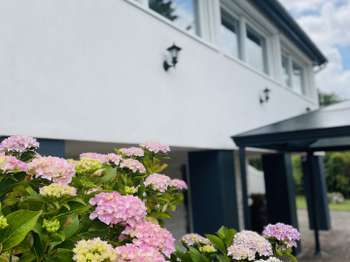 Vente maison 11 pièces