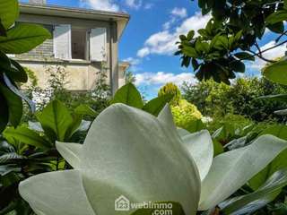 Vente maison 14 pièces