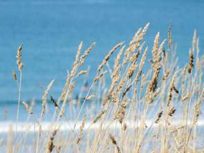 Vente Maison 4 chambresLe Conquet