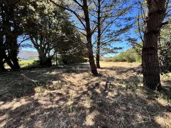 Vente maison 5 pièces Le Croisic 44