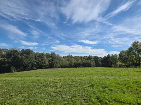 Vente maison 6 pièces Le Girouard 85