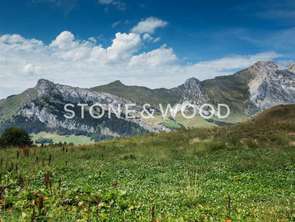 Vente MaisonLe Grand-Bornand