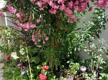 Vente Maison 2 chambresLe Havre