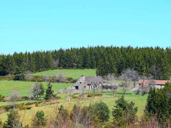 Vente maison 14 pièces Le Lac-d'Issarlès 07