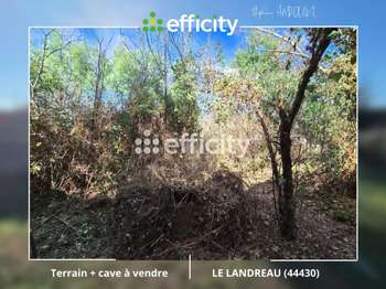 Vente Maison 1 pièceLe Landreau