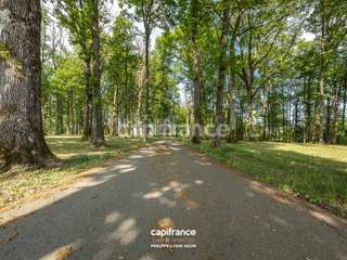 Vente maison 12 pièces