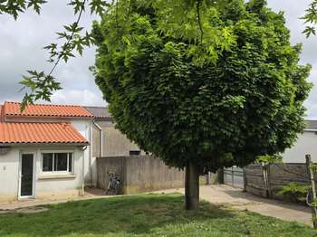 Vente maison 4 pièces Le May-sur-Èvre 49