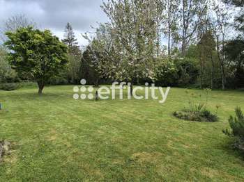 Vente maison 8 pièces Le Molay-Littry 14