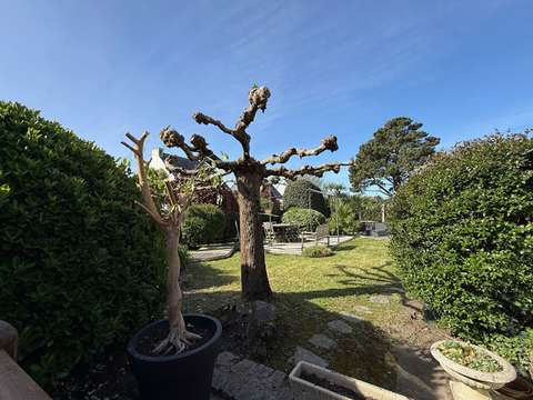 Vente maison 11 pièces