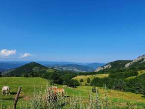 Vente Maison 5 chambresLe Puy-en-Velay