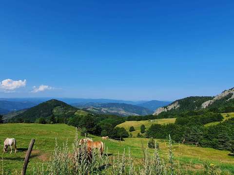 Vente maison 11 pièces Le Puy-en-Velay 43