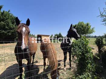 Vente Maison 3 chambresLe Tronquay