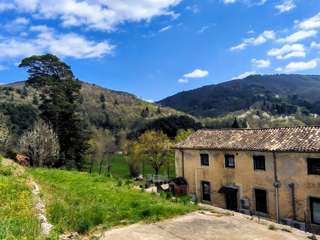 Vente maison 15 pièces