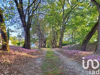 Vente maison 22 pièces