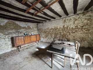 Vente maison 13 pièces