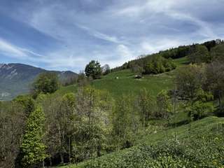 Vente maison 1 pièce