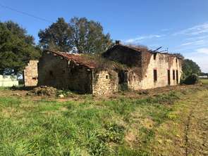 Vente Maison 1 pièceLes Châtelliers-Châteaumur
