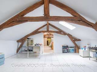 Vente maison 20 pièces