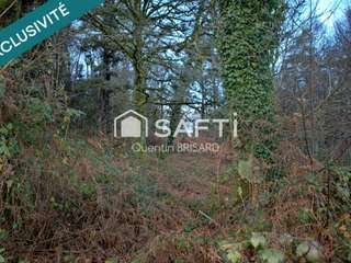 Vente maison 12 pièces