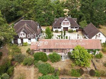 Vente maison 21 pièces Ligny-le-Ribault 45