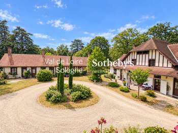 Vente maison 21 pièces Ligny-le-Ribault 45