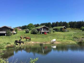 Vente Maison 20 piècesLimoges