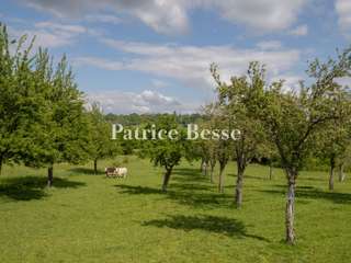 Vente maison 18 pièces