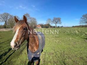 Vente Maison 4 chambresLizio