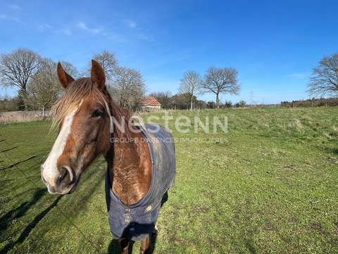 Vente maison 5 pièces Lizio 56
