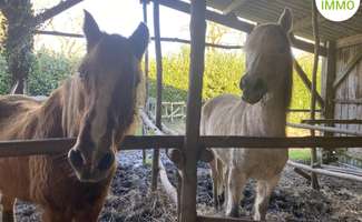 Photo Vente maison Locmaria-Grand-Champ