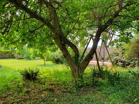 Vente maison 4 pièces Locmariaquer 56