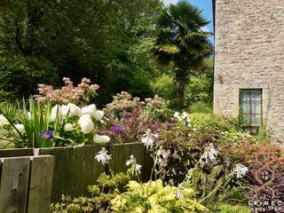 Vente maison 12 pièces