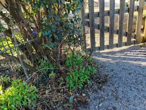 Vente Maison 3 chambresLocoal-Mendon