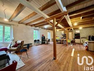 Vente maison 18 pièces