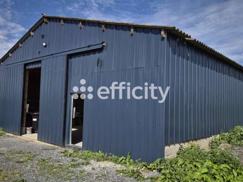 Vente maison 4 pièces Longueville 14