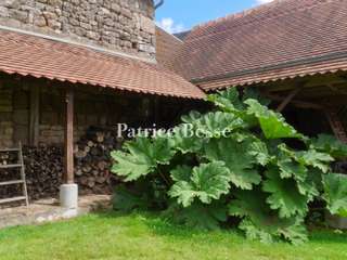 Vente maison 10 pièces